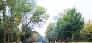 А реконструкцией и не пахнет: Набережная и парк Шевченко распадаются на кирпичи