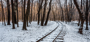 Пойди посмотреть: Сырецкий парк украшают к новогодним праздникам