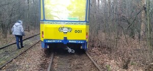 Экскурсия не удалась: в Пуще-Водице трамвай-кафе сошел с рельсов