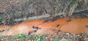 Порыжела: вода в ручье на Сырце окрасилась в странный цвет