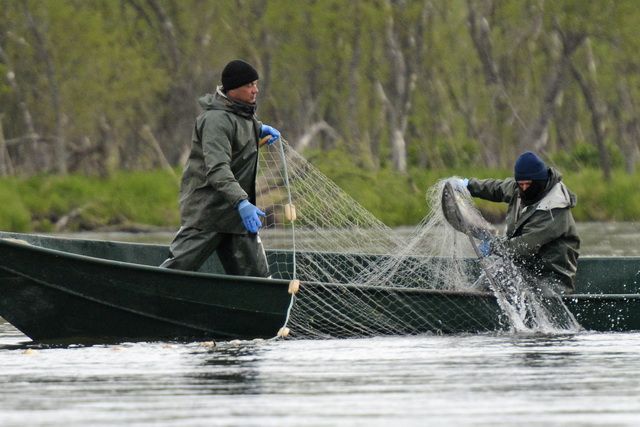 Новость - События - Им законы не писаны: под Киевом на водоемах ловят браконьеров