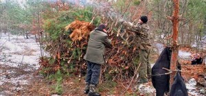 Щепки летят: почему возле Виноградаря массово вырубают деревья