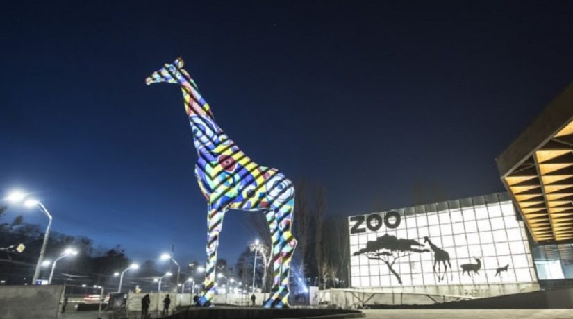 Новость - Досуг и еда - Интересно знать: жираф-великан станет центром светового шоу в киевском зоопарке