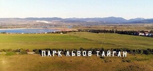 Зубков озвучил убытки 