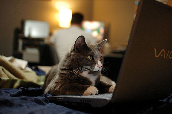 Заведения года: лучшие места Одессы по версии читателей Vgorode