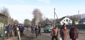 Каждому - по кабанчику: свиней, которые летом атаковали село на Полтавщине, раздали людям