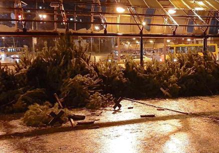 Новость - События - Фотофакт: в Киеве появились свалки ненужных елок