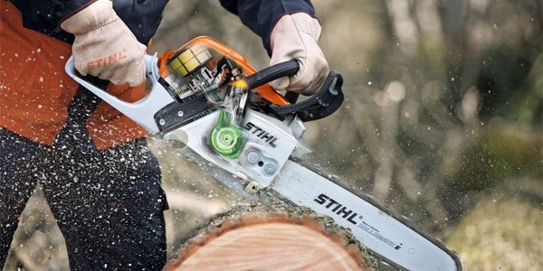 Ради автостоянки: в центре Запорожья срубят 14 деревьев