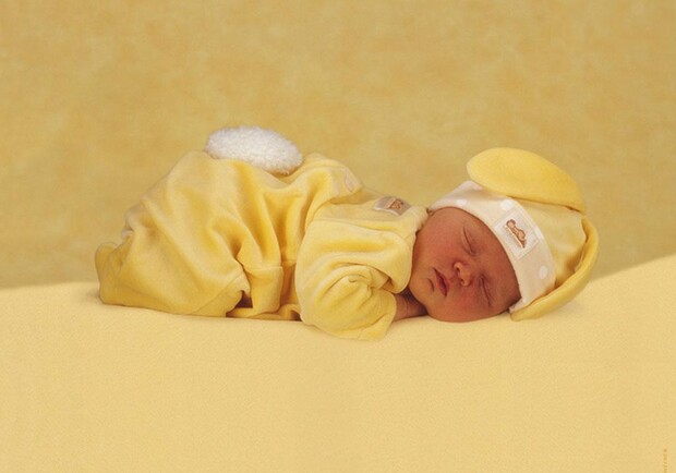 Вчера родилось меньше малышей, чем обычно.
Фото с сайта sunhome.ru