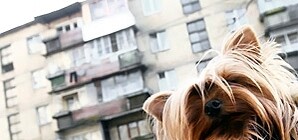 Денег на высотки в Киеве нет – 