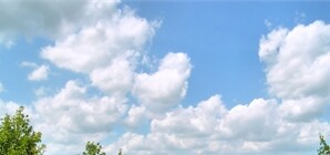 Поселок Коцюбинское украдет у Киева сорок гектаров территорий 