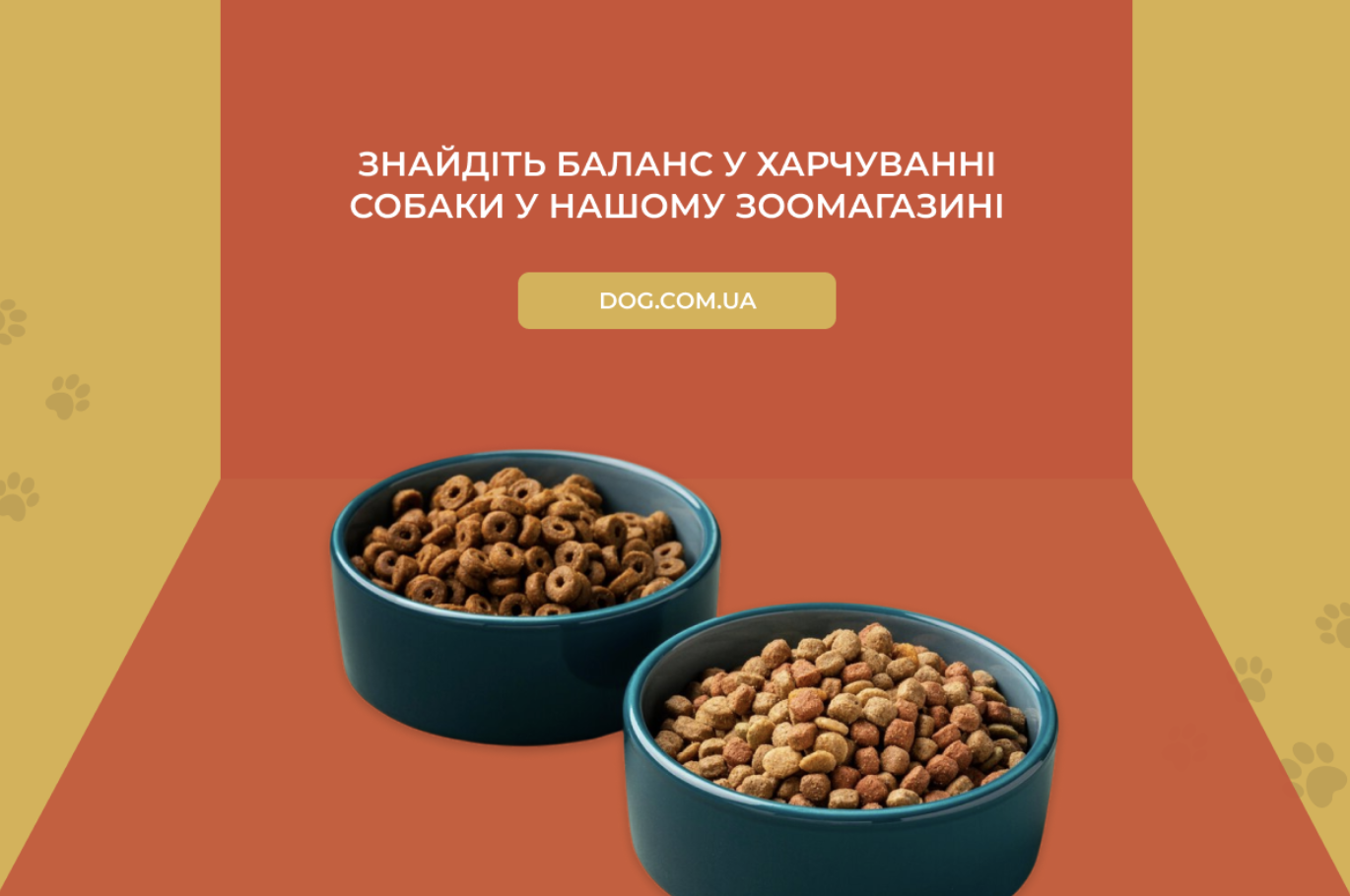 Сухий собачий корм або натуральне харчування: що краще для вашого собаки? фото 1