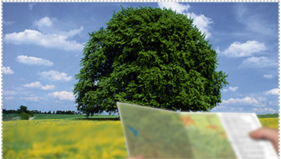 такой результат очков для дали