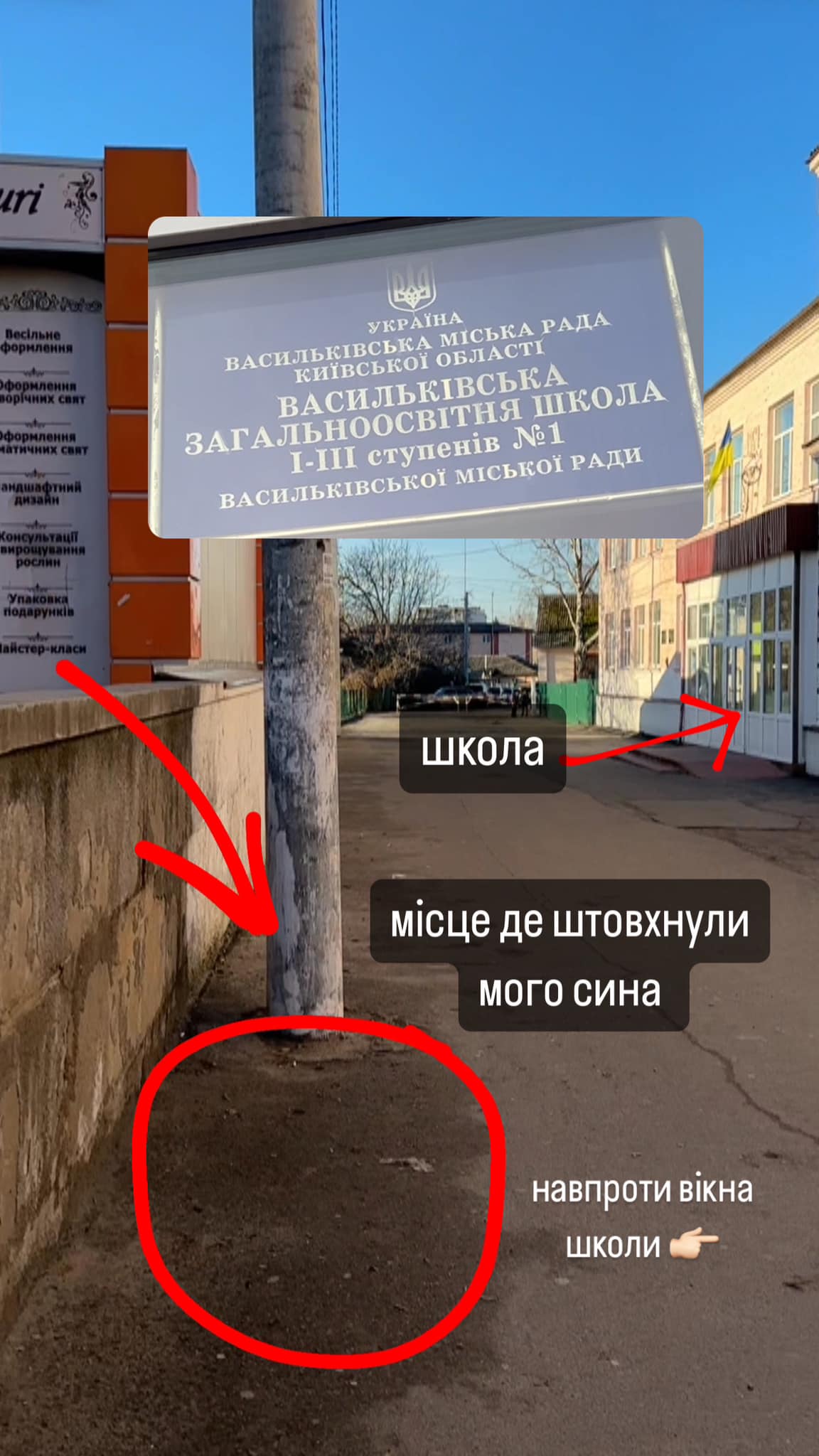 У Васильківській гімназії дитину скинули з висоти -