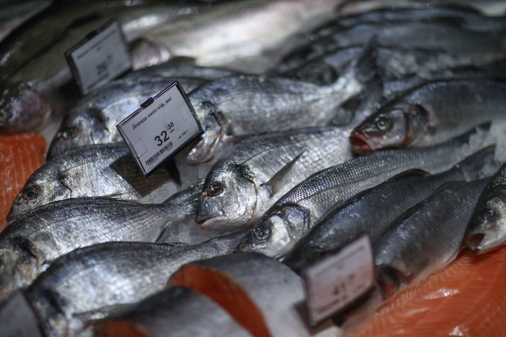 Дорадо в VARUS