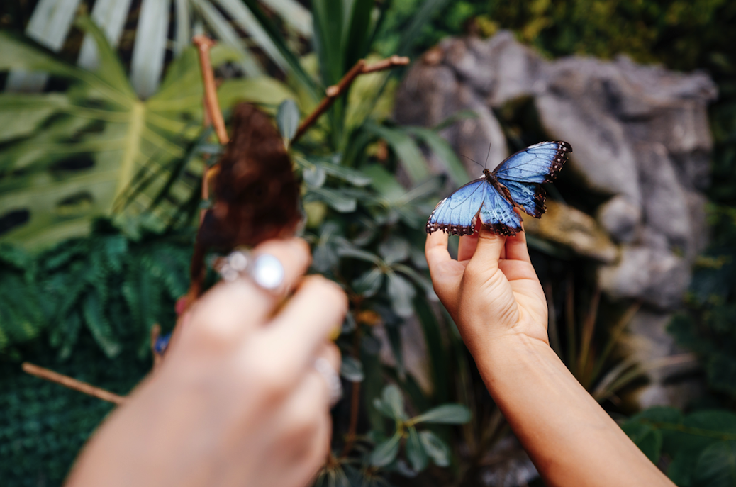 "Зимняя Страна" на ВДНГ: локации и цены в 2023-2024 году фото