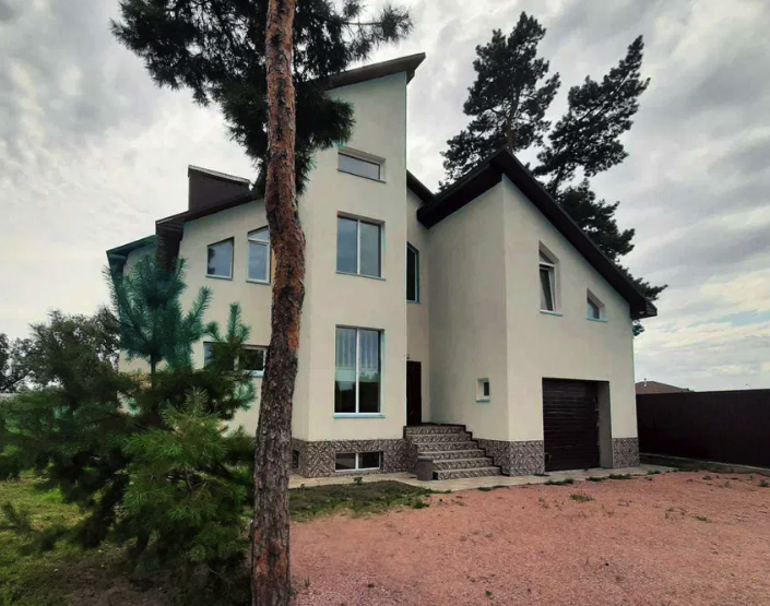 Будинок у Києві на Новий рік -