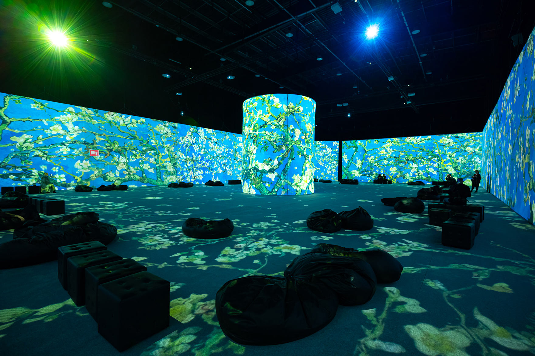 В Киеве на ВДНГ открывается международная иммерсивная выставка.