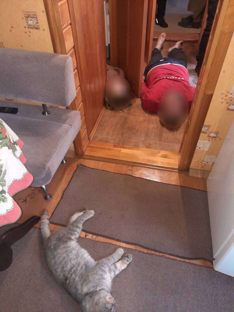 У Броварах у будинку знайшли мертвими трьох людей та кота -