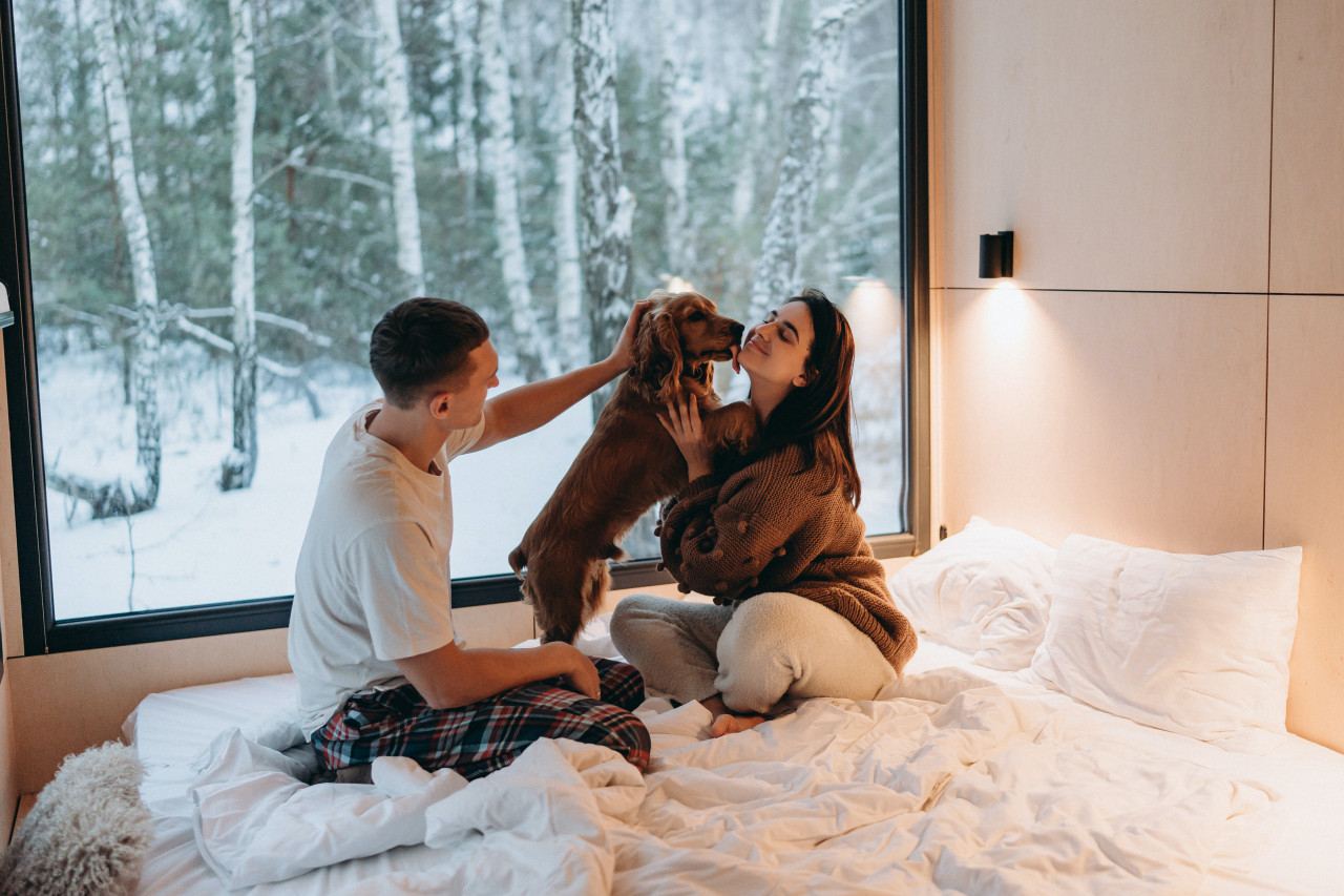 Популярний комплекс будинків на природі &laquo;УЛІС&raquo; запустив локацію з кебінами