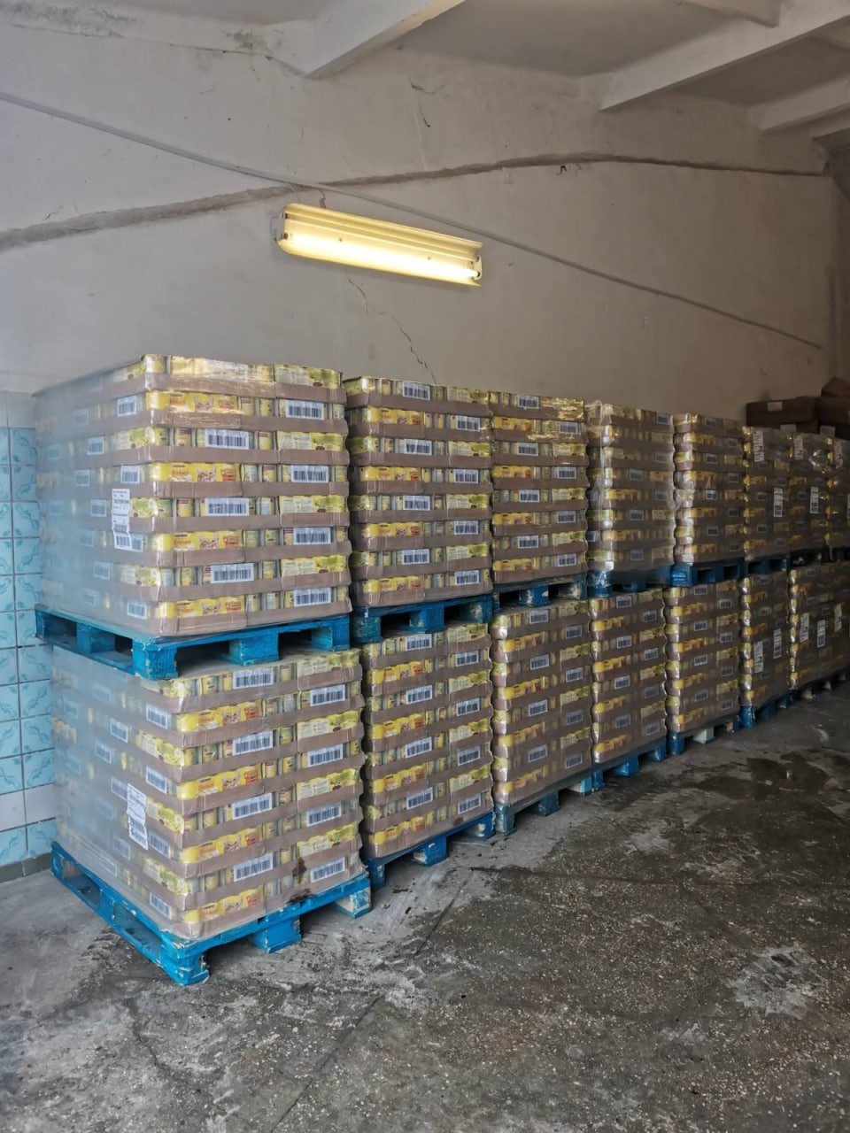 Склади притулків для тварин у регіонах – важлива складова загальної логістики / Фото Purina®, БО "Щаслива Лапа"