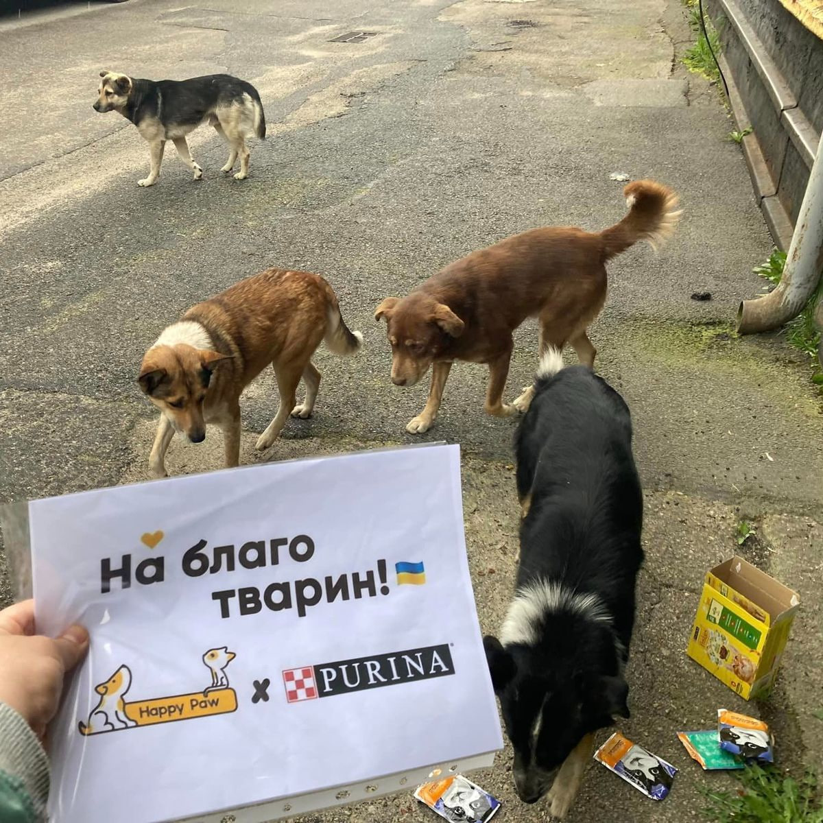 Допомога тваринам Херсонщини / Фото фейсбук "Щаслива Лапа"
