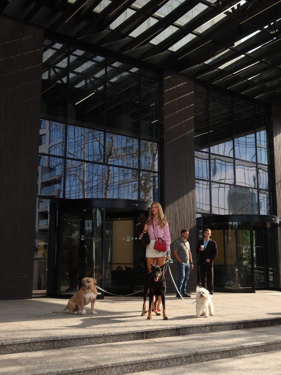 У Києві зняли комедію з песиками