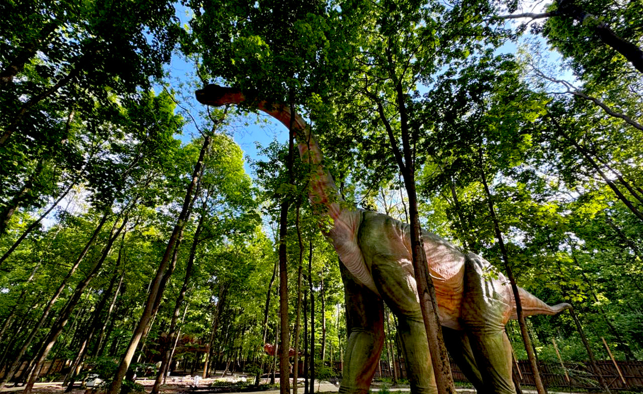 Шуміленд. - фото: ВДНГ