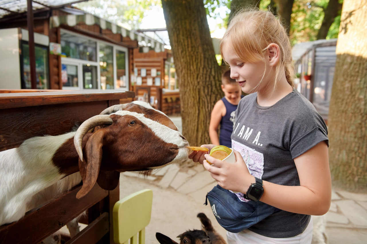 Animal Park. - фото: ВДНГ