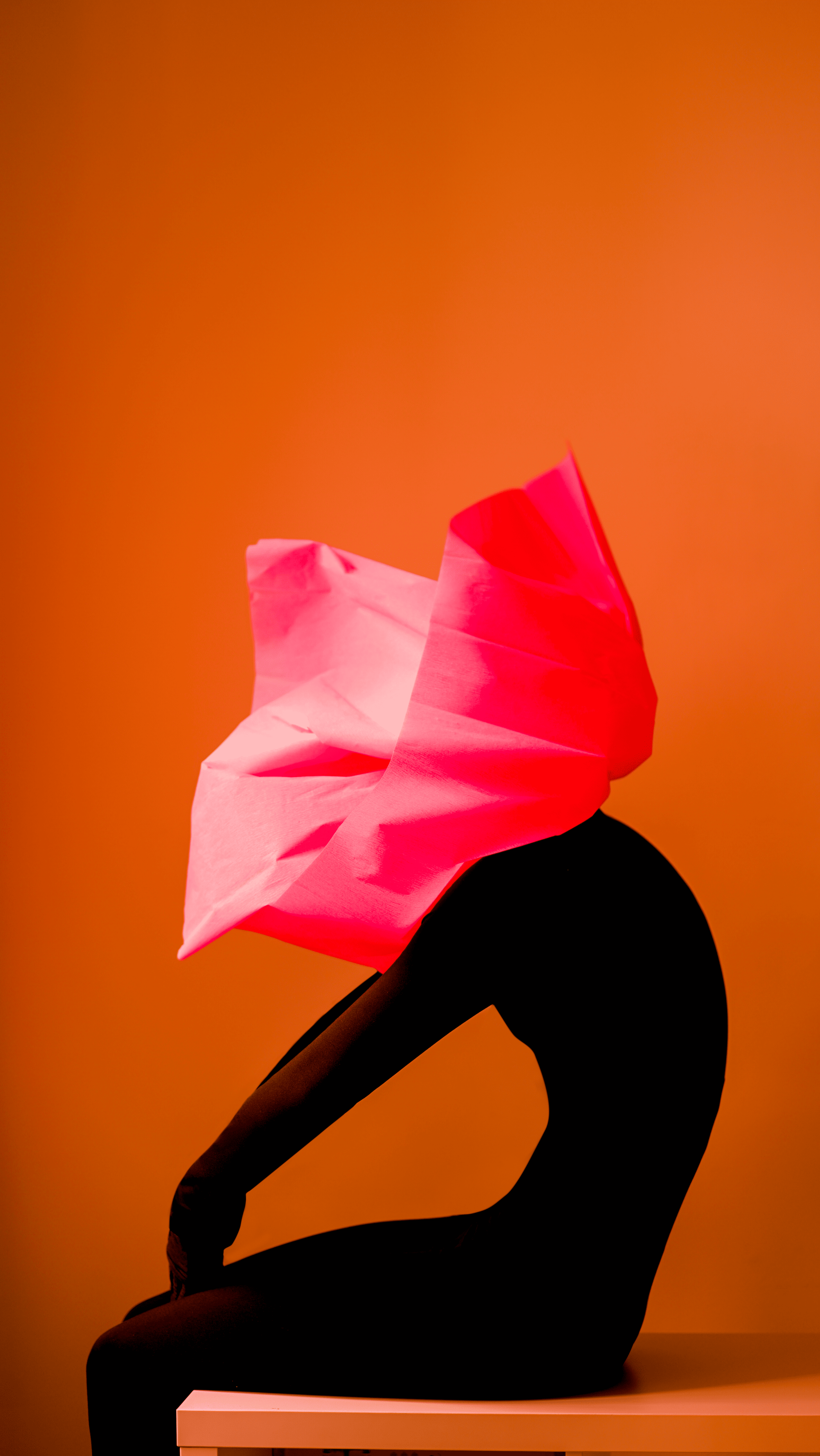 На ВДНГ откроют бесплатную выставку современной фотографии: покажут коллажи, 3D-модели и рентгеновские снимки фото 4 3