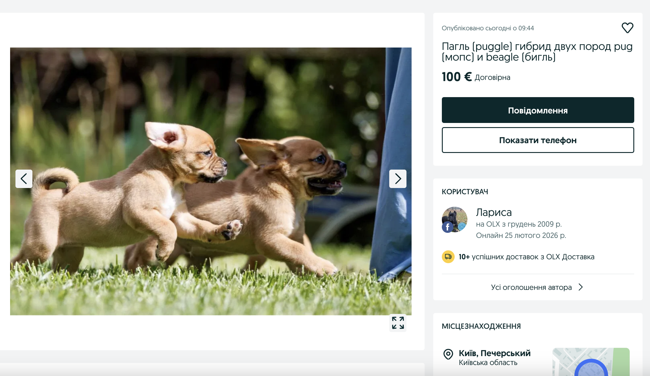 Цуценят продають у Києві.