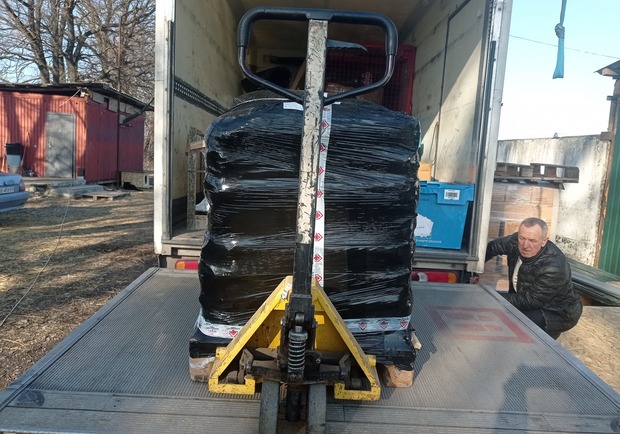 &laquo;Ф-поддержка&raquo; работает: как украинцы накормили 4 тысячи бездомных животных