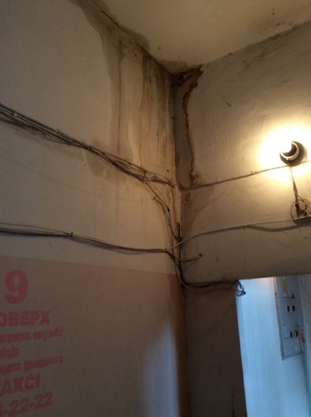 Улица Зои Гайдай, 6. Фото: 1551.gov.ua