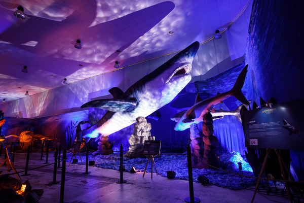 Внутри выставки. Фото: организаторы выставки "Динозавры морских глубин"