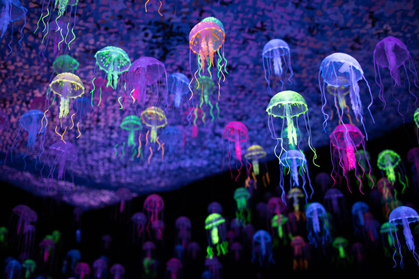 Обещают атмосферу подводного корабля. Фото: организаторы выставки "Динозавры морских глубин"