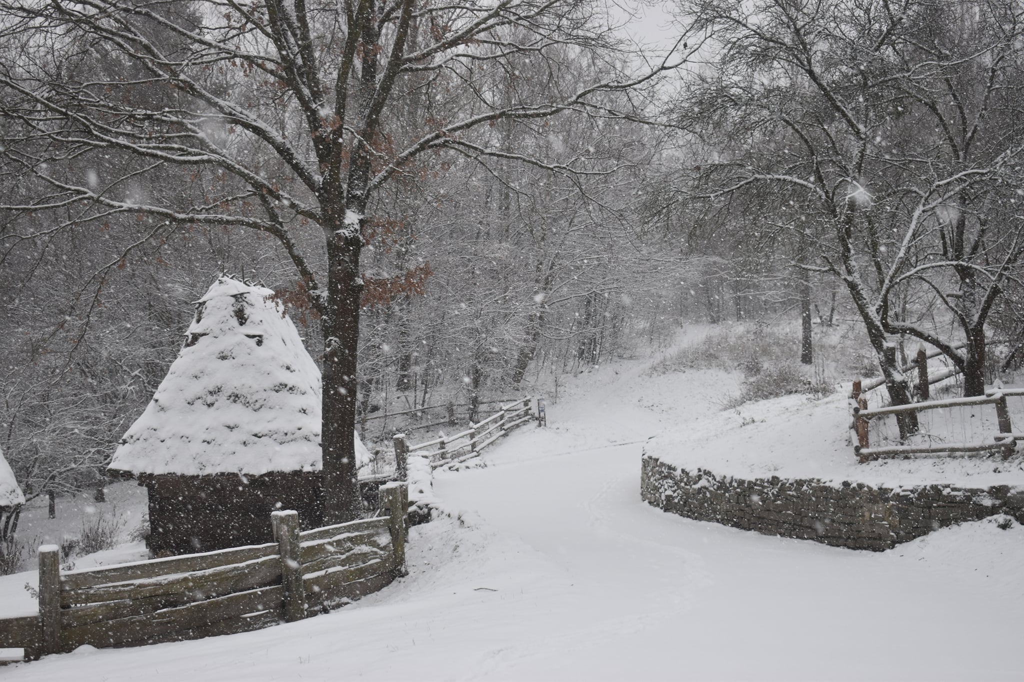 Пирогово. Фото: Facebook Пирогово