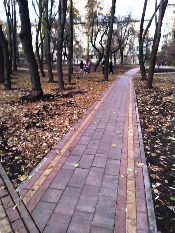 Дорожка. Фото: Киевзеленстрой