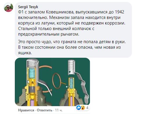 1лимонка.JPG (44 KB)