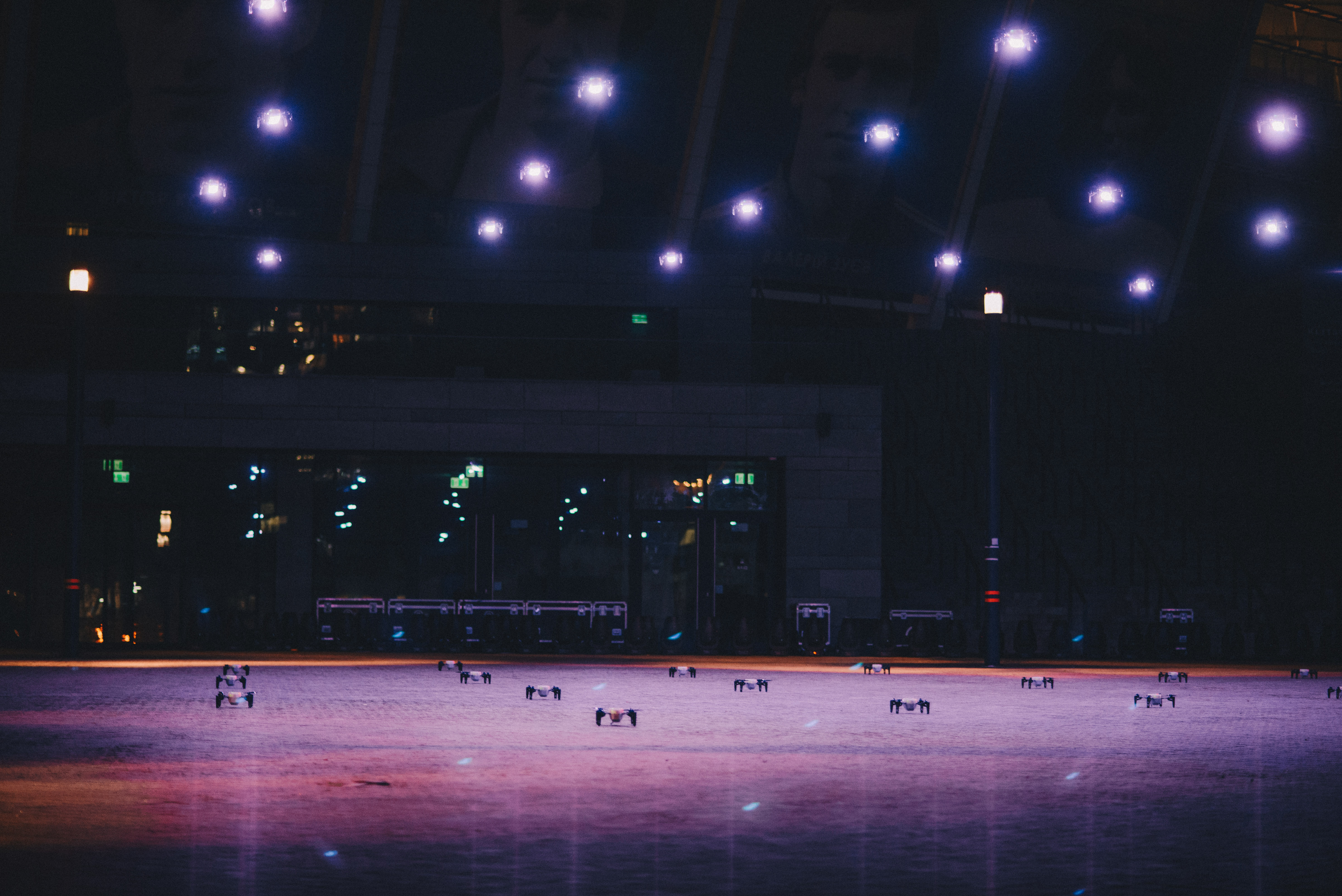 В шоу участвовало 60 дронов. Фото Roche Ukraine