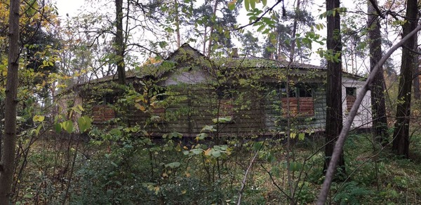 Особняк "Голубая Дача". Фото: Иван Сотников