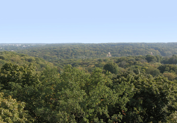 Панорама Голосеевского парка. Фото: nppg.gov.ua/