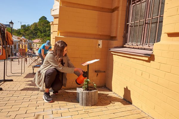 Плющ регулярно поливают. Фото: "Читай Киев"