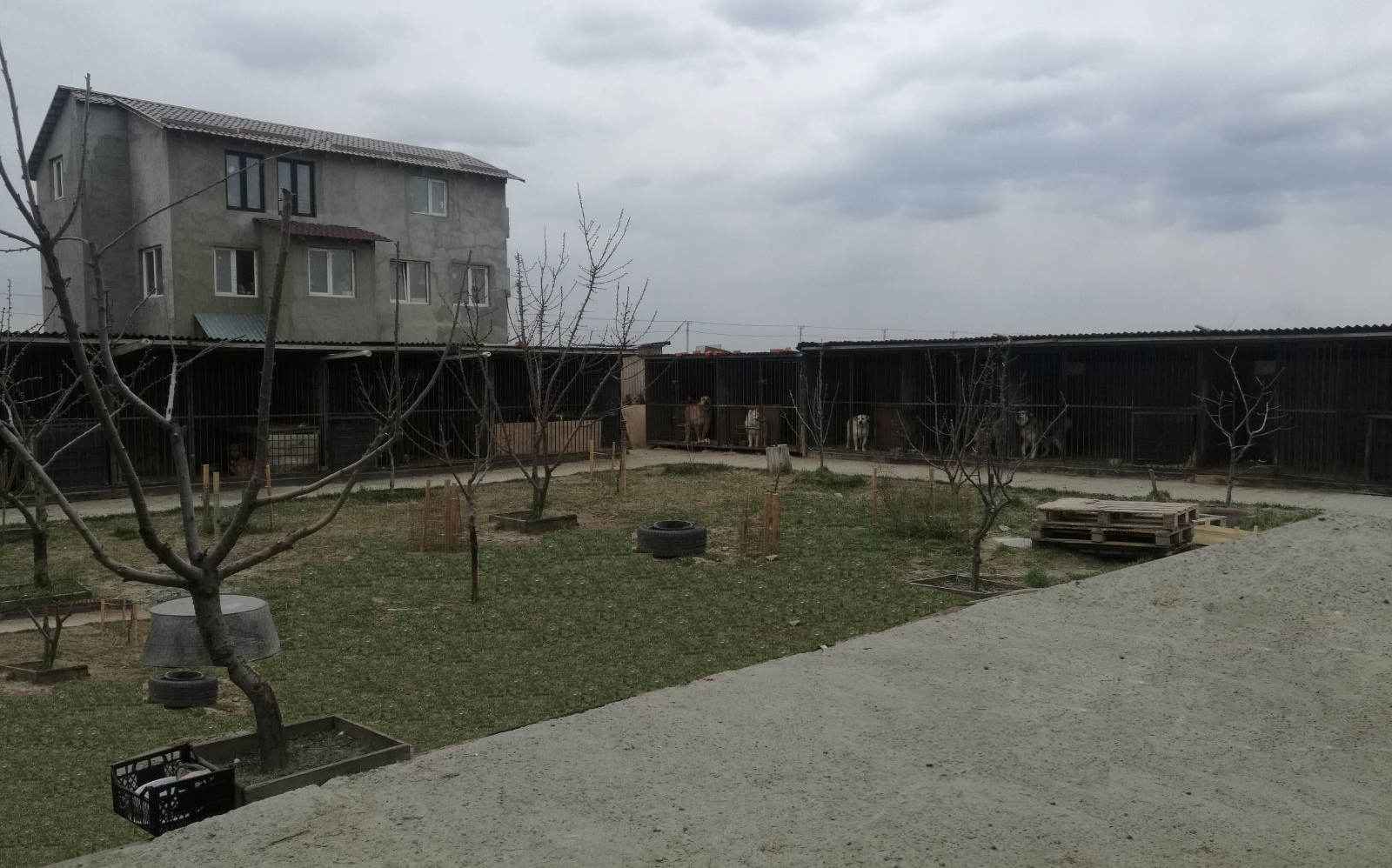 Приют. Фото: сайт приюта