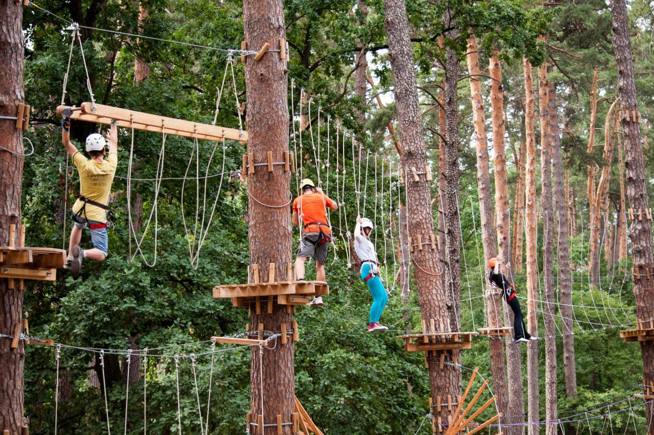 Веревочный парк (фото - Zruchno.Travel)