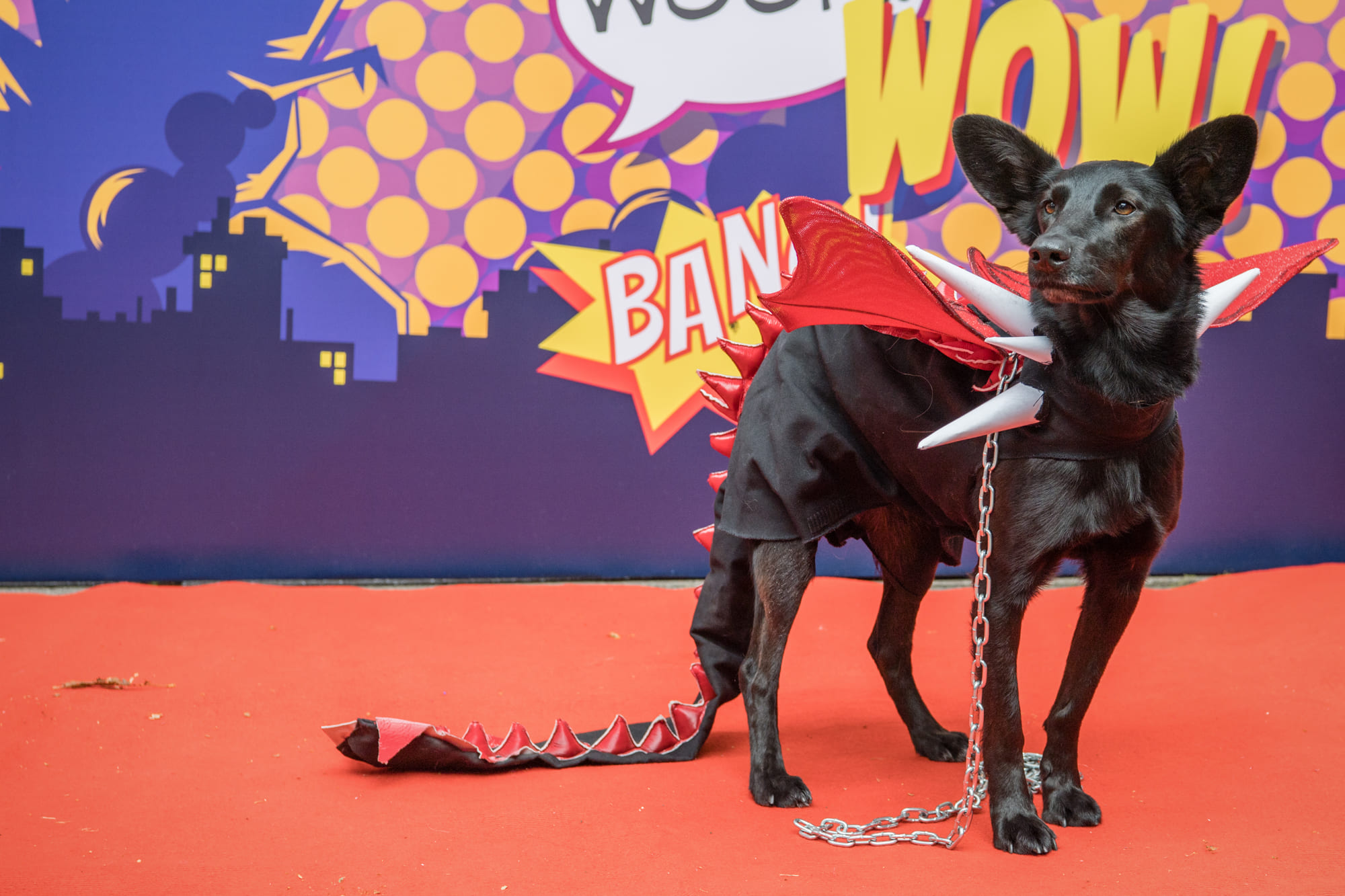 Dog Cosplay Contest. Фото: Comic Con Ukraine 2021