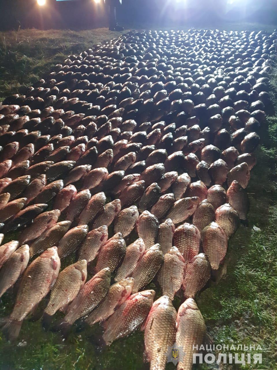 Всего браконьеры выловили 524 килограма рыбы. Фото: пресс-служба полиции Киевской области