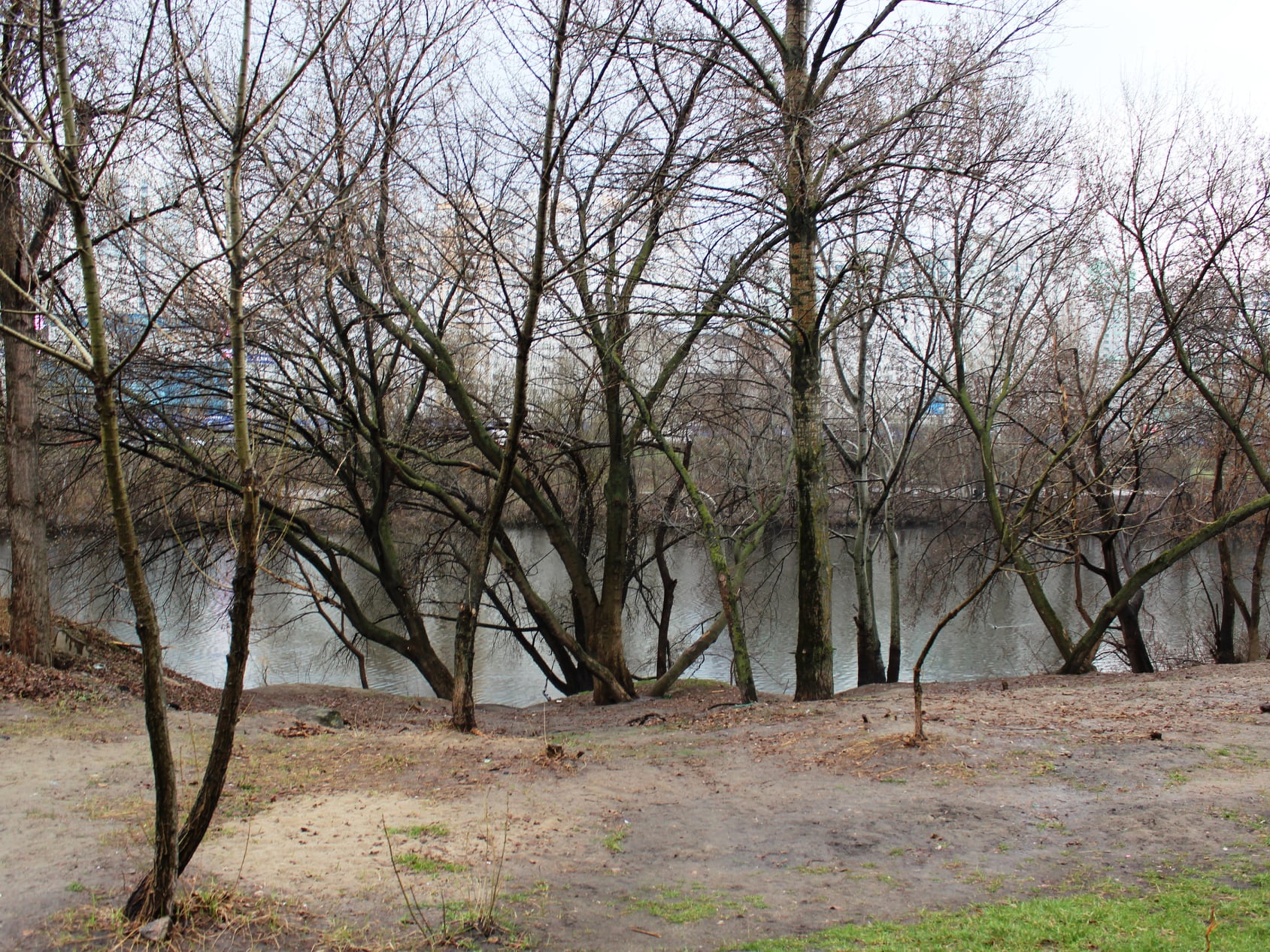 Как сейчас выглядит берег озера Серебряный кол. Фото: Киевзеленстрой