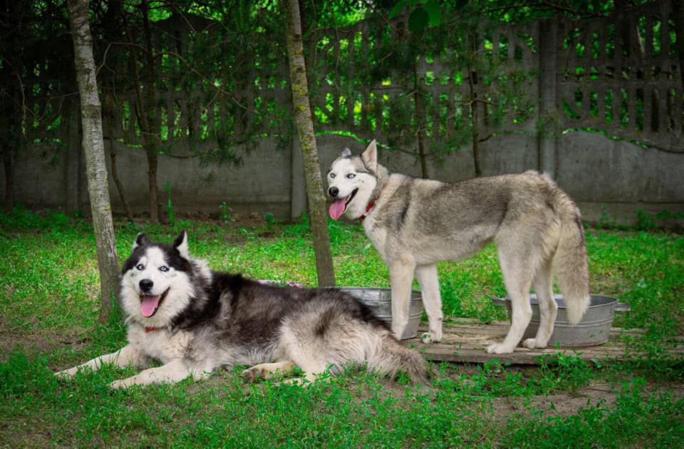 История закончилась хэппи эндном. Фото: КЦВМ