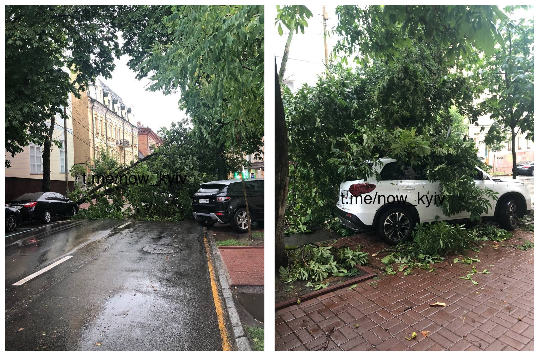 Поваленное дерево на Софийской. Фото: Киев Сейчас