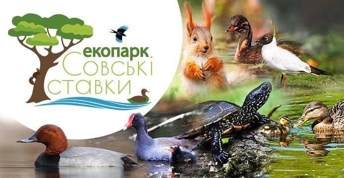 Совские пруды